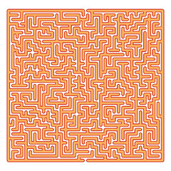 Labyrinth Isolated on White Background