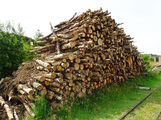 stacked firewood