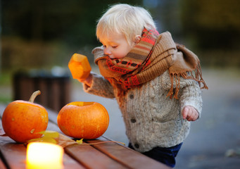 Toddler playing with halloween pumpkins