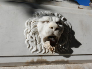 Lion in Entrevaux