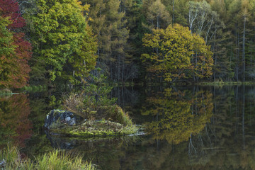 御射鹿池の紅葉