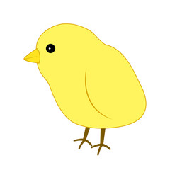 ヒヨコ