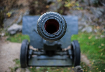 close up on cannon