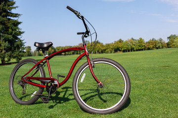 Fototapeta na wymiar Bicycle standing on the grass