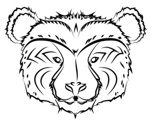 bear line drawing