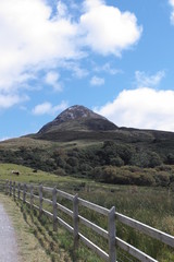 Fototapeta premium Connemara National Park 68