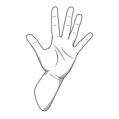 Palm hand number five gesture vector illustration