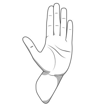 Palm hand stop gesture vector illustration