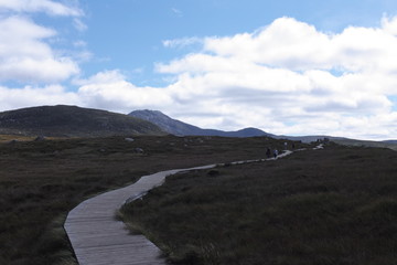 Connemara National Park 45