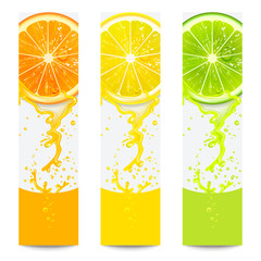 Banners with Fresh Citrus Fruit
