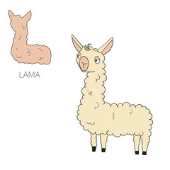 Alphabet letter L lama children vector 