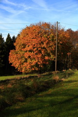 Ahornboden