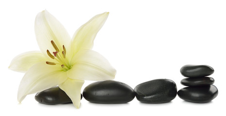 Fototapeta premium White lily and stones