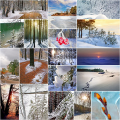 Коллаж на тему зима. Природа России. Сибирь, Новосибирская область
