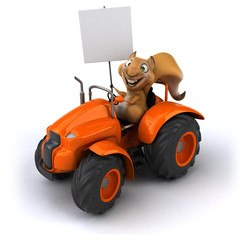 Fototapeta premium Fun squirrel