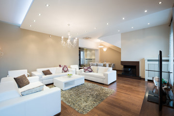 Interior of a modern spacious living room with fireplace