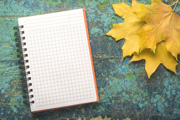  Notebook with autumn leaves 
