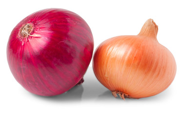 Onion vegetable bulbs