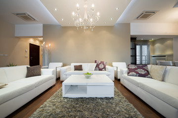 Interior of a modern spacious living room