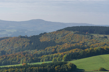 Mischwald im Herbst