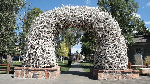 Jackson Hole Elk antler arch P HD 3264