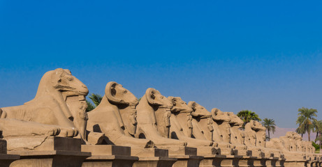 amun temple of luxor 