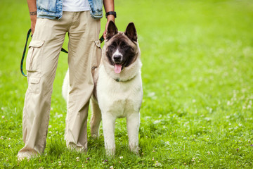  man with his dog breed Aki