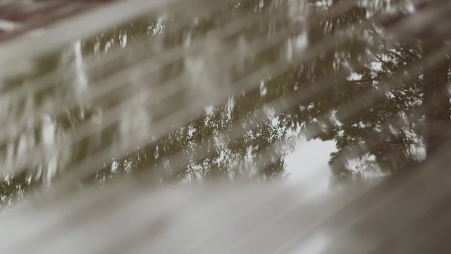 Water drops on wood floor