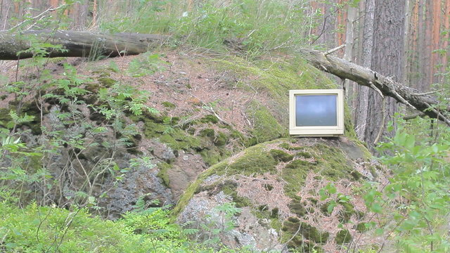 Ubiquitous computer. Old monitor storm threw into pine woods