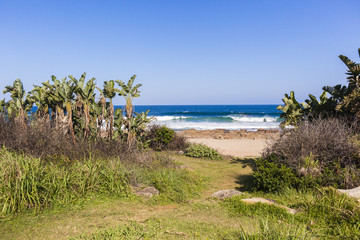 Fototapeta na wymiar Beach Pathway Ocean Coastline