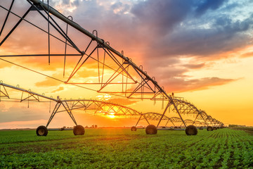 Automated farming irrigation system in sunset - obrazy, fototapety, plakaty