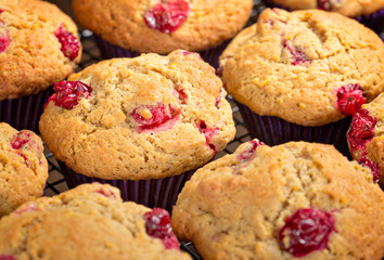 Cranberry Muffins