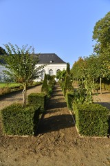Obraz premium Petite haies du jardin de l'orangerie au château de Seneffe en Hainaut