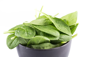 Green spinach on a white background