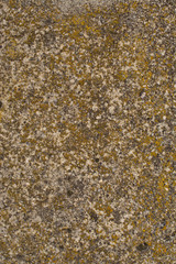 Old concrete with decal