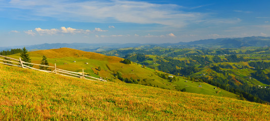 Summer countryside