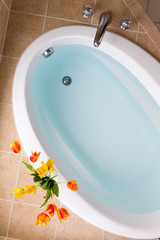 Oval bathtub filled with clean water
