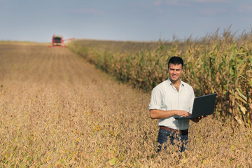 Man with laptop in soybean field