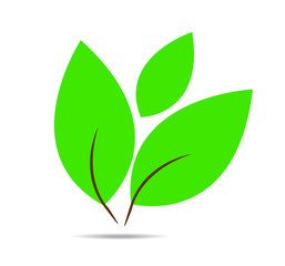 Vector simple icon of green leaf