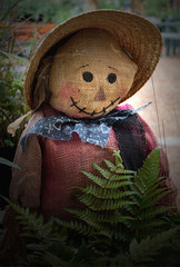 Happy Scarecrow. A little scarecrow sitting among the outside plants.