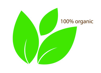 Vector simple icon of green leaf