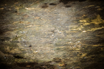 Grunge wood background