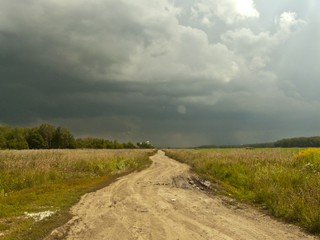 Перед грозой. 