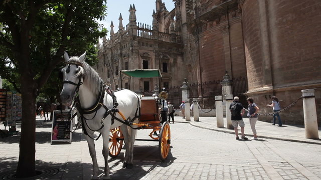Horse and carriage Sevilla Spain P HD 9807