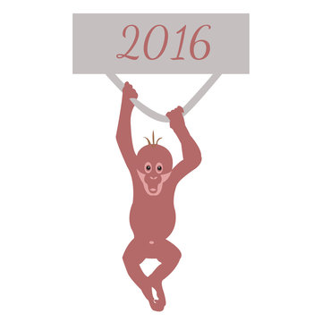 monkey