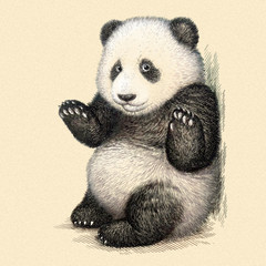 engrave panda bear illustration