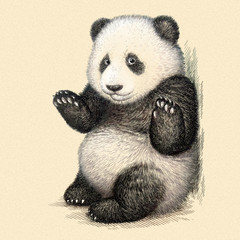 engrave panda bear illustration © doublebubble_rus