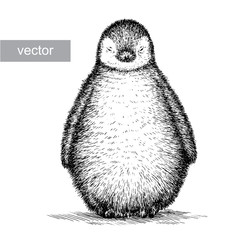engrave penguin illustration © doublebubble_rus