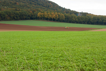 An agricultural landscape with a tractor.