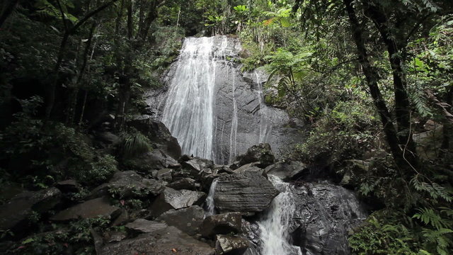 Waterfall jungle El Yunque National Park Rainforest Puerto Rico HD 1769